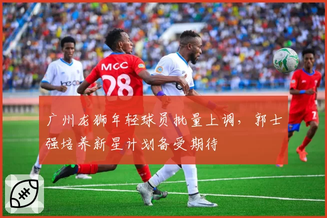 广州龙狮年轻球员批量上调，郭士强培养新星计划备受期待
