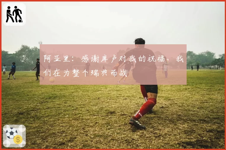 阿亚里：感谢库卢对我的祝福，我们在为整个瑞典而战