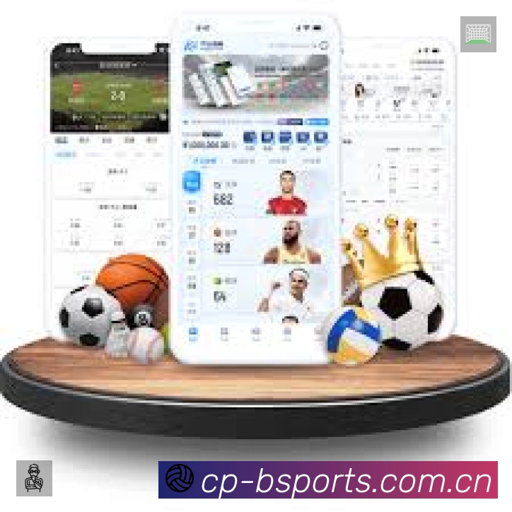 b体育中文官方App下载指南